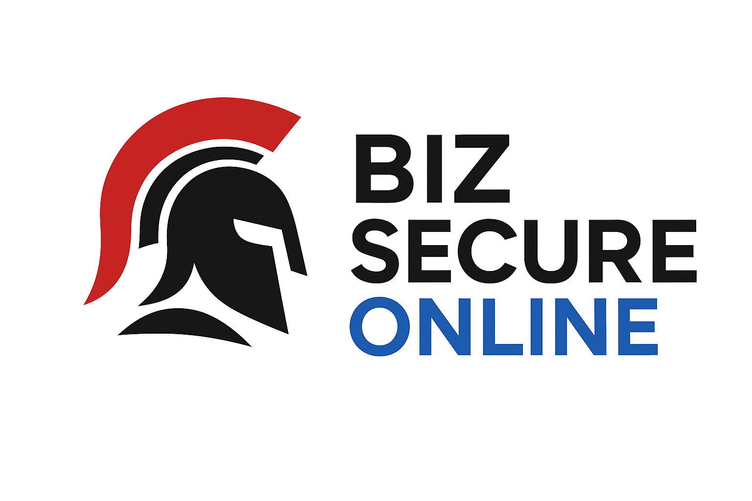 Biz Secure Online